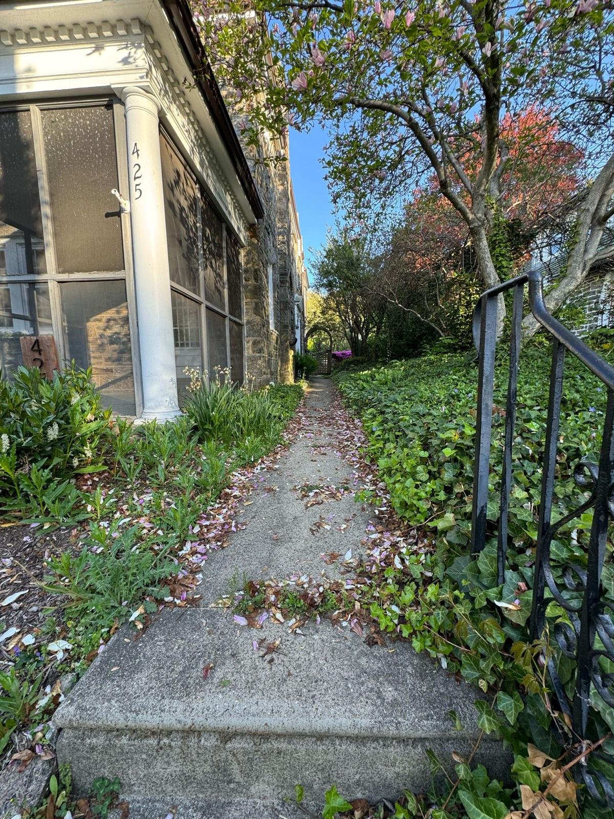 Yard cleanup work by Green Force Property Services